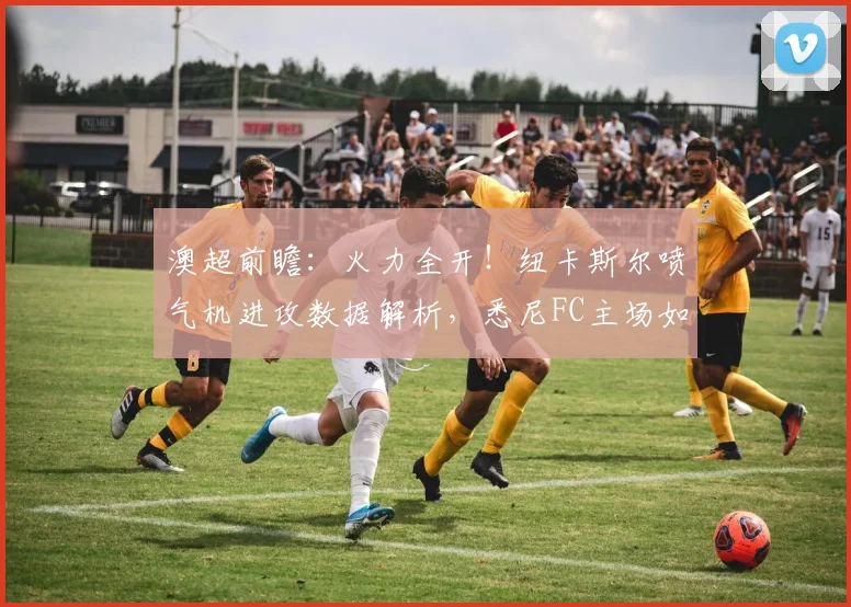 澳超前瞻:火力全开!纽卡斯尔喷气机进攻数据解析,悉尼FC主场如何破局反弹?